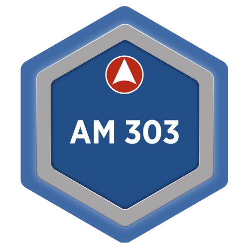 AM 303 - Knowledge Management