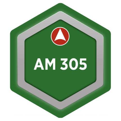 AM 305 - Planning and Decision-Making
