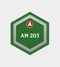 AM 203 - Lifecycle Planning - Digital Badge