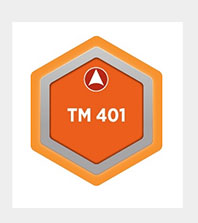 TM 401 - Traffic Estimation and Strategy