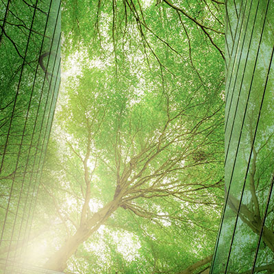 IFME Green Infrastructure Webinar
